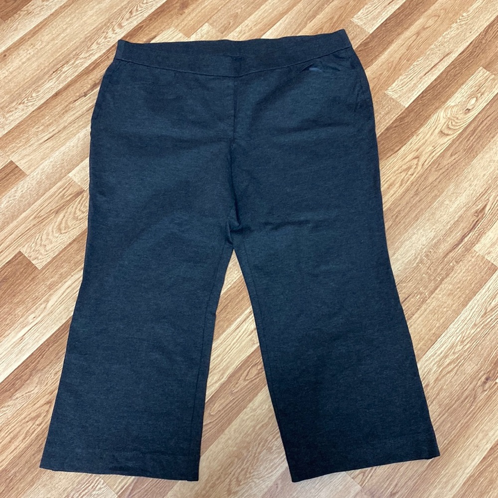 22/24 Lane Bryant pants